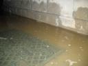 I suspect the water table is reflected by the dampness on the foundation walls.